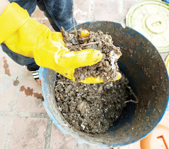 Composting in an Apartment